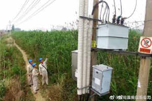 国网淮安市洪泽区供电公司对输变配电设备开展专项特巡