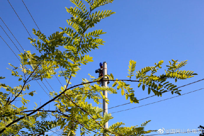 国网蓬莱市供电公司组织8名施工人员在10千伏辛店线架设导线