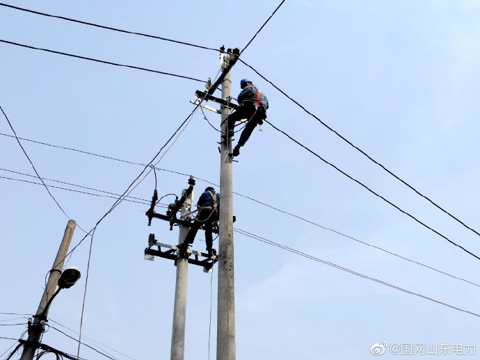 国网阳谷县供电公司组织人员到10千伏十五里元线进行升级改造