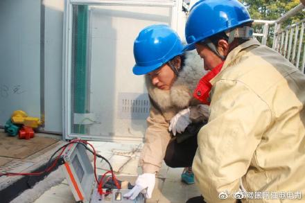 国网丰县供电公司实验班对产业园园区的变压器、电缆进行预防性试验