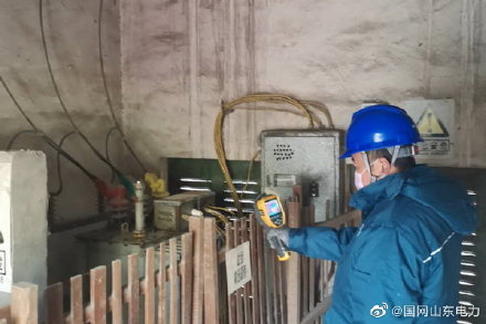 对10千伏泗新线和某面粉生产企业配电设备进行巡视检查
