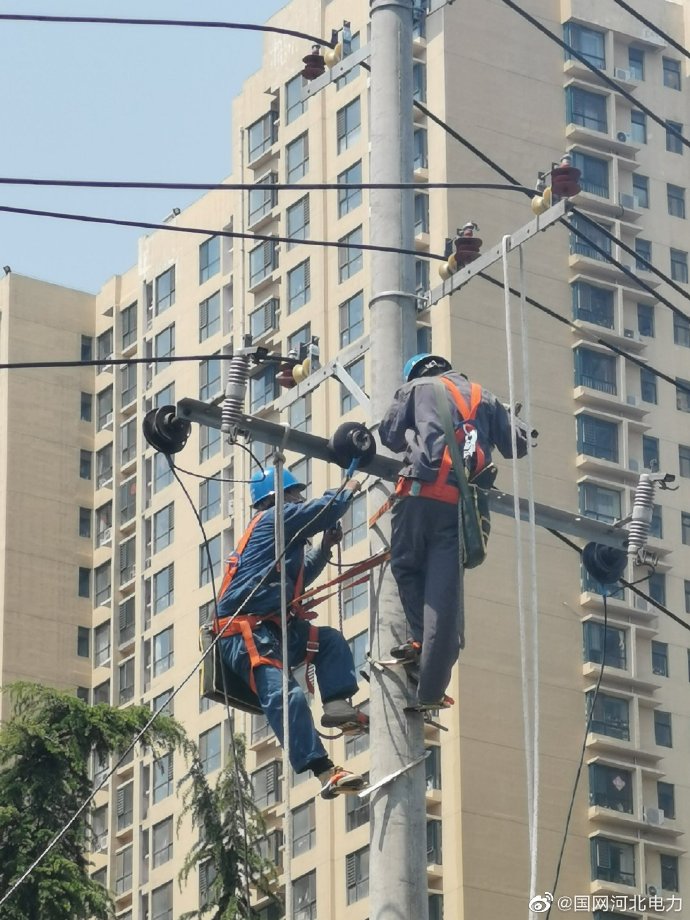 国网赵县供电公司组织员工开展配网线路补强工程，更换老旧的电杆和导线