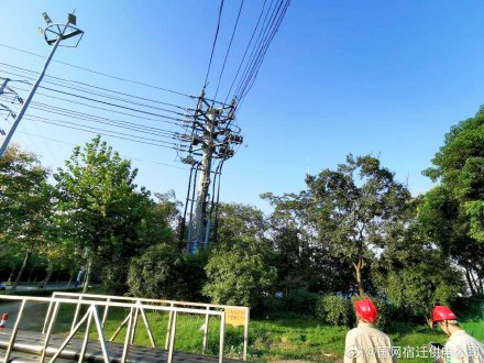 对泗洪园区易发生故障的10千伏配电线路开展无人机巡检工作