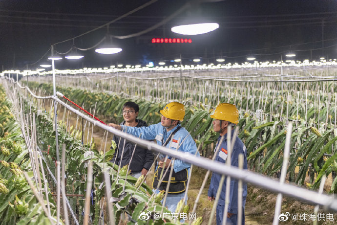 主动上门对种植户用电设施进行全方位巡查和维护